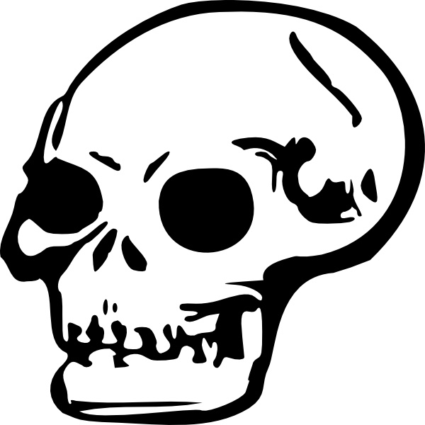 clip art. Human Skull clip art. Preview