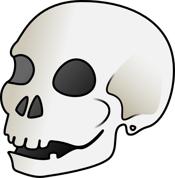 human skull clip art - photo #1