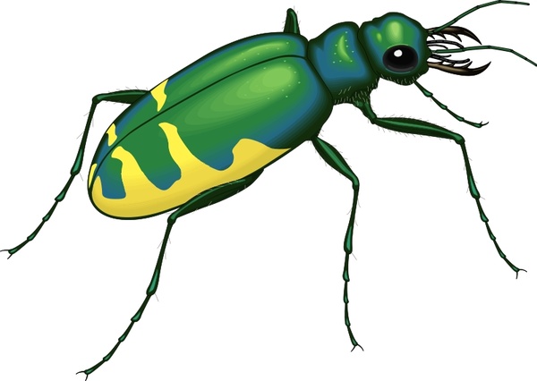winged insects clipart - photo #9