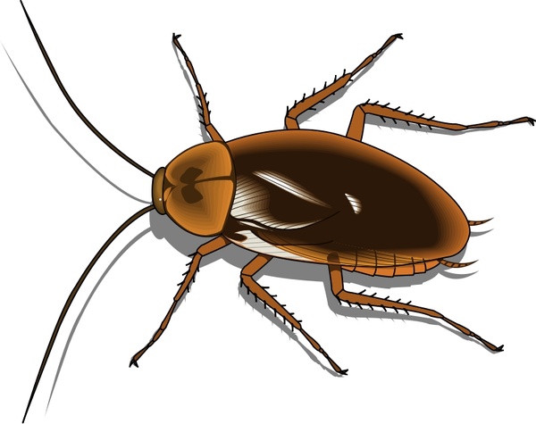 insect drawings clip art - photo #17