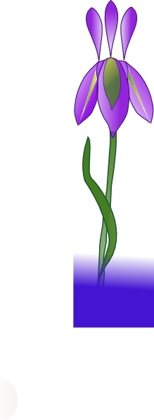 clipart iris flower - photo #36