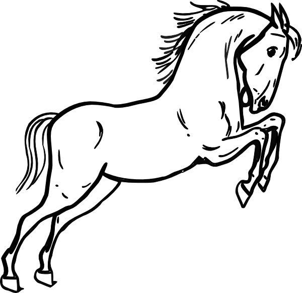 horse jumping clipart - photo #21