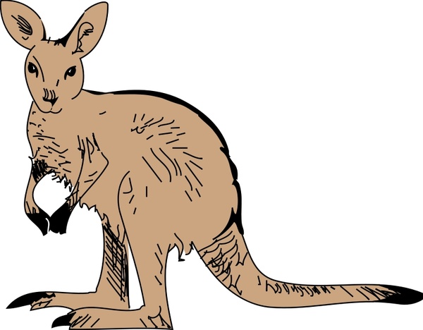 clipart kangaroo cartoon - photo #31