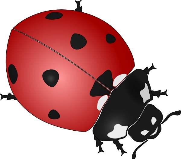clipart ladybug free - photo #38