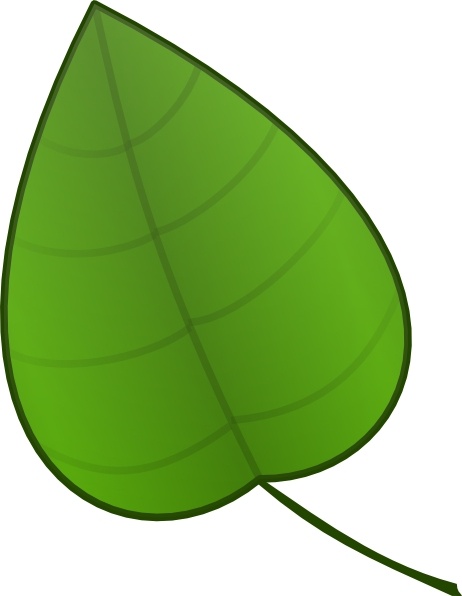 clip art ginkgo leaf - photo #34