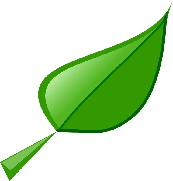clipart of a leaf - photo #5