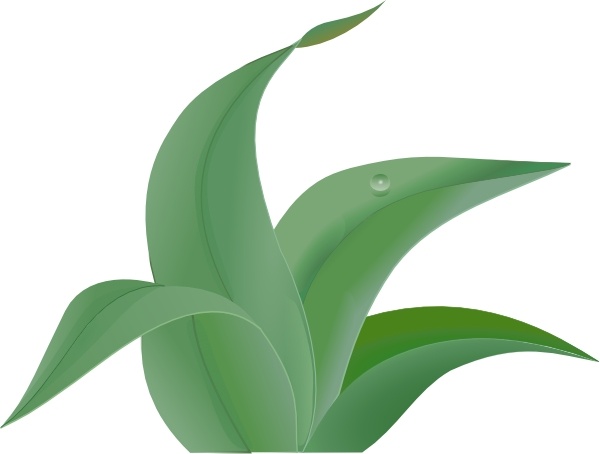 free clipart green leaves - photo #37