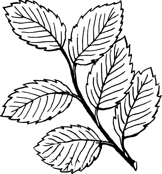 free clip art leaves. Free vector Vector clip art Leaves clip art. File size: 0.47 MB