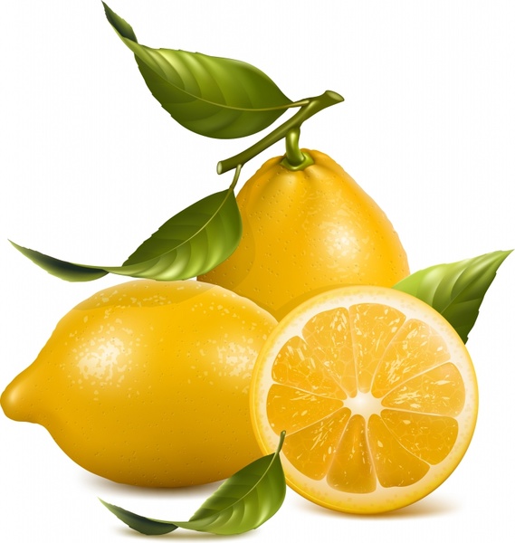 lemon clipart vector free - photo #21