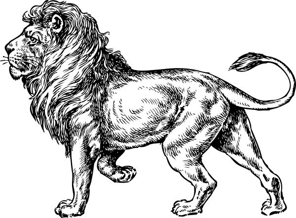 lion clip art free download - photo #2
