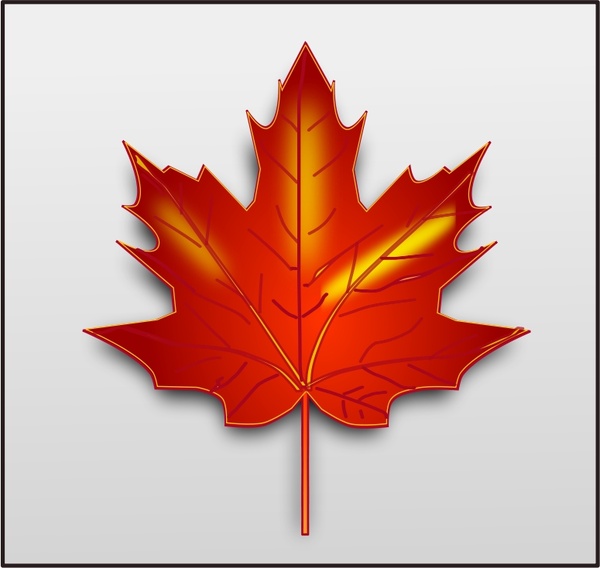 Canada+maple+leaf+vector+free