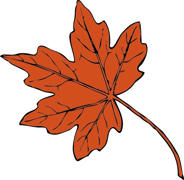 Maple Leaf clip art. Preview