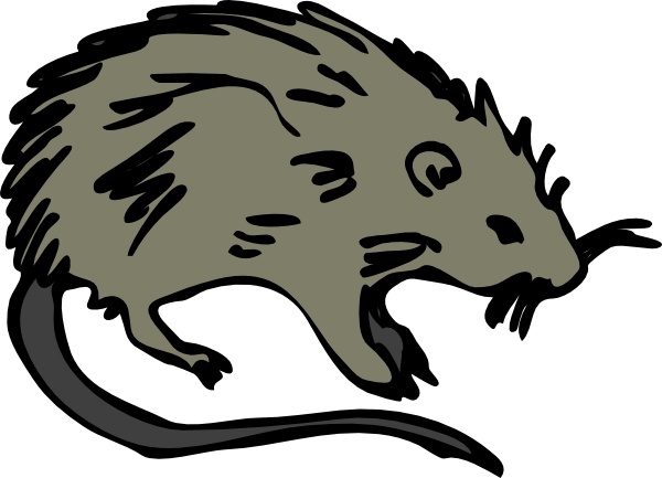 clipart pictures of rats - photo #20