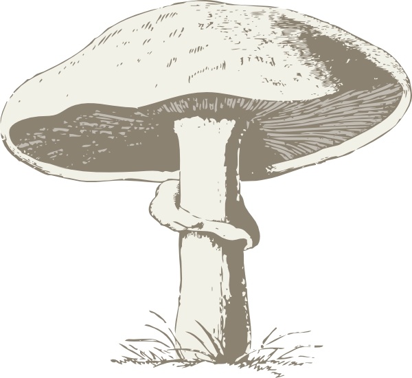 mushroom silhouette clip art - photo #41