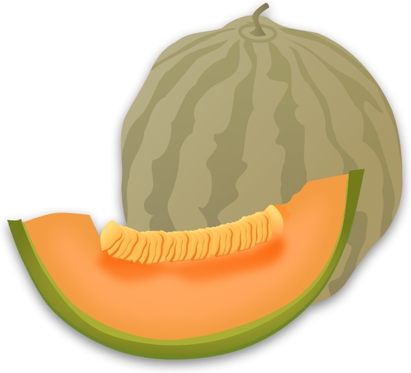 Musk Melon Free vector in Open office drawing svg ( .svg ) vector