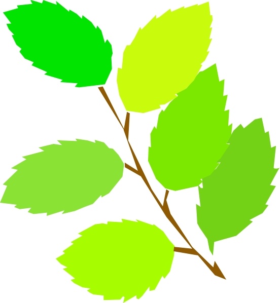 spring leaves clipart - photo #3