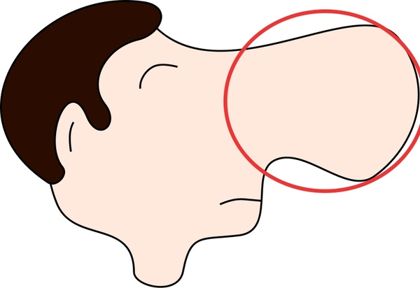 funny noses clipart - photo #26