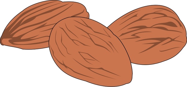 clipart pictures of nuts - photo #18