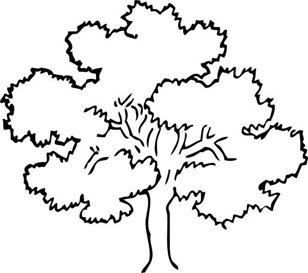 free black and white clipart of trees - photo #22