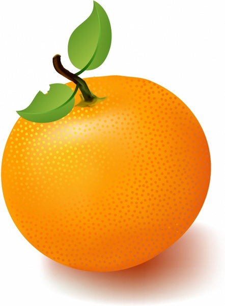 free clipart orange fruit - photo #38
