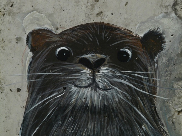 otter drawing image free stock photos in jpeg