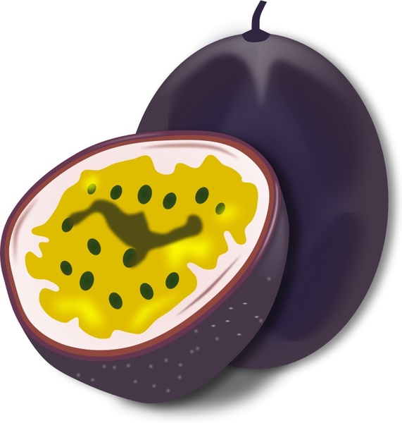 Free Vector  Backgrounds on Passion Fruit Vector Clip Art   Free Vector For Free Download