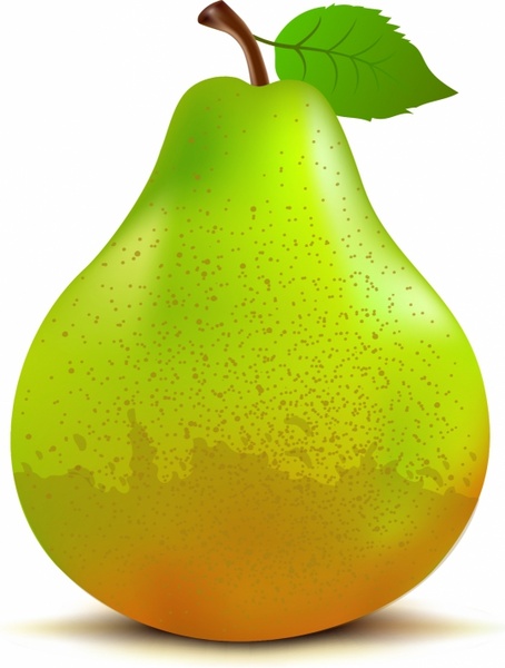Pear Free Vector In Adobe Illustrator Ai AI Encapsulated 