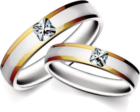 precious wedding ring 04 vector Preview