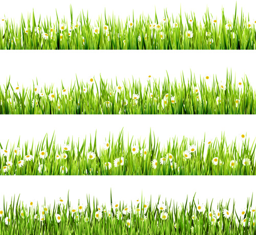 vector free download grass - photo #48