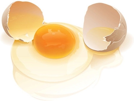 realistis vector telur pecah