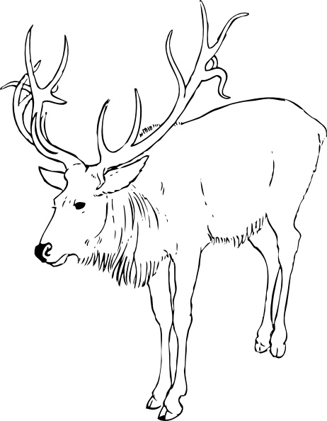 Stag Clipart