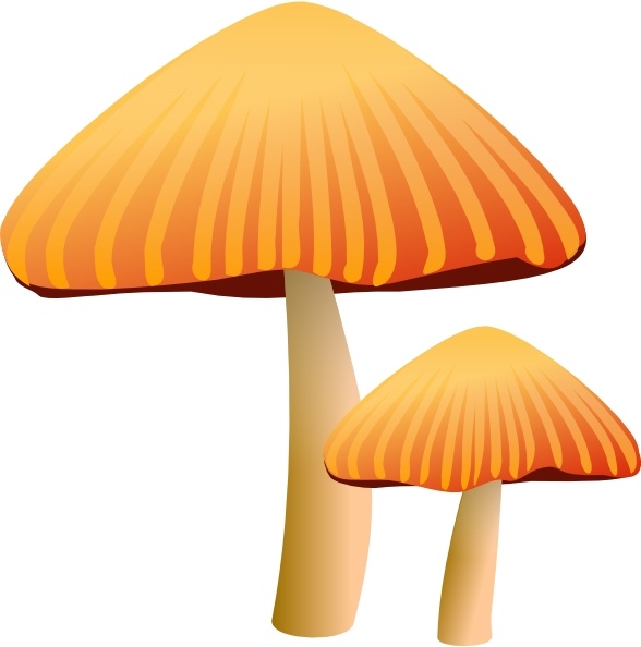 mushroom silhouette clip art - photo #44