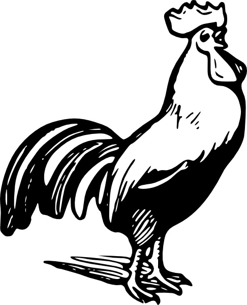 rooster vector clip art - photo #2
