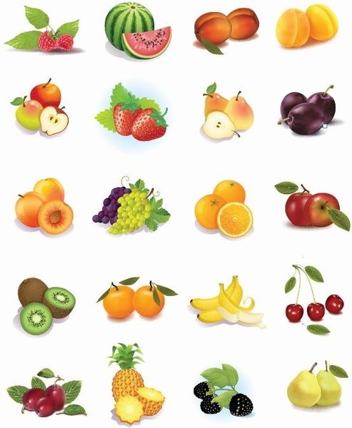 free vector fruit clipart - photo #3