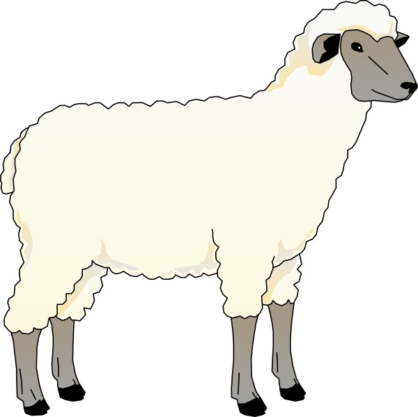 sheep ewe clip art  preview