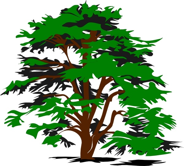 tree clip art free download - photo #18