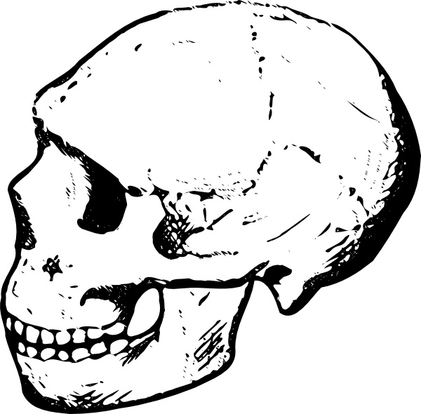 skull clip art vector - photo #27