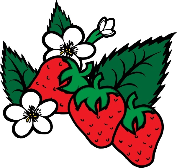 strawberry clipart vector - photo #15