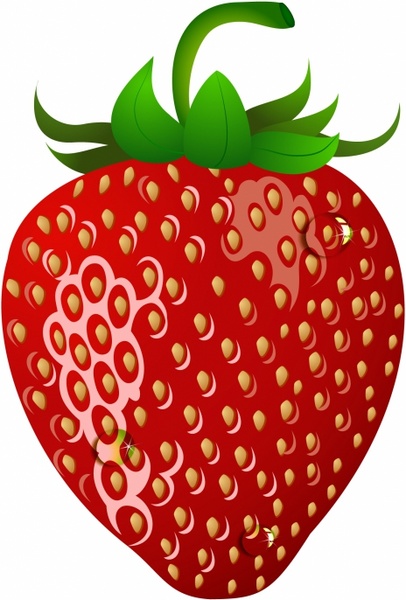 strawberry clipart vector - photo #49