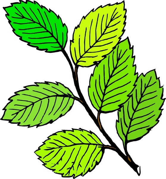leaf clip art free download - photo #36