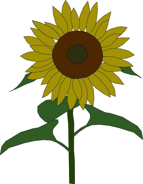 Flower Wallpaper on Sun Flower Clip Art Vector Clip Art   Free Vector For Free Download