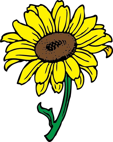 clipart sunflower pictures - photo #4