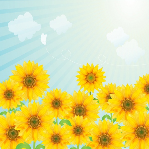 Sunflower free vector download (234 Free vector) for commercial use