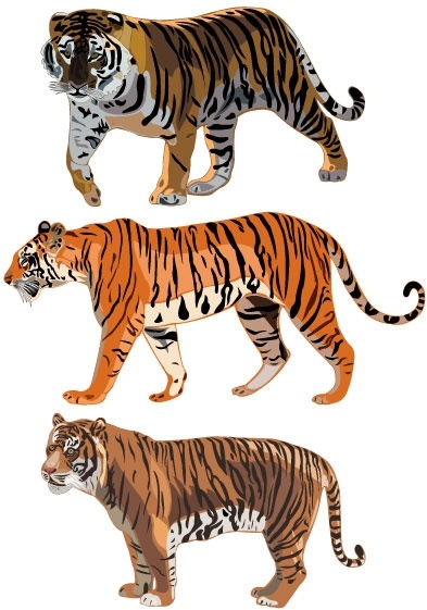 vector free download tiger - photo #28