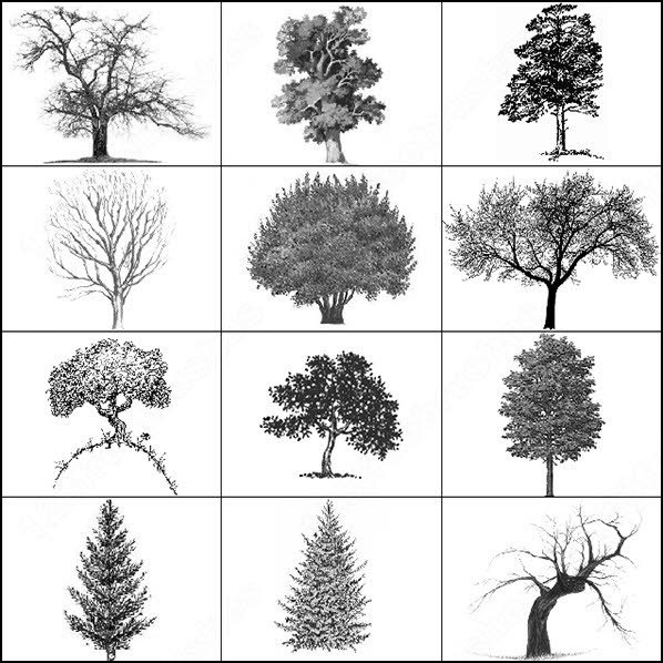 Trees photoshop brushes download (59 photoshop brushes) for commercial