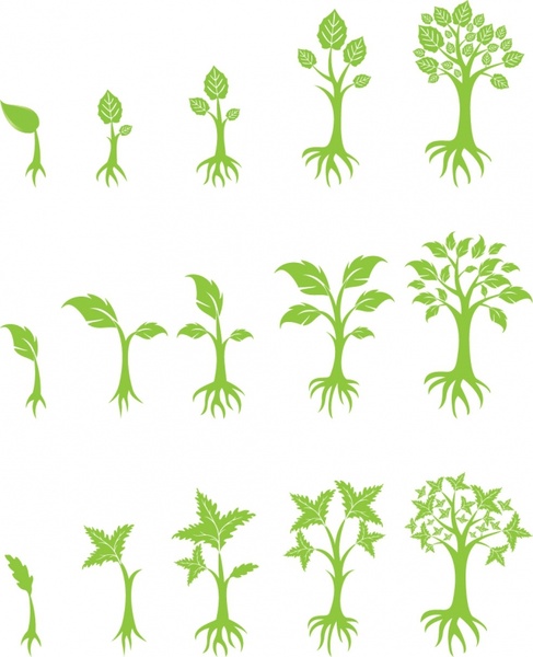 flower growing clipart - photo #49