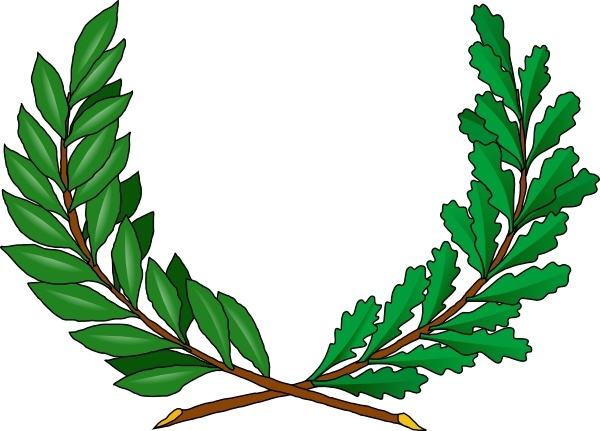 pine tree clipart. Tree Vines clip art. Preview