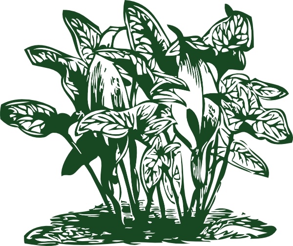 bush plant clipart. Tropical Plants clip art