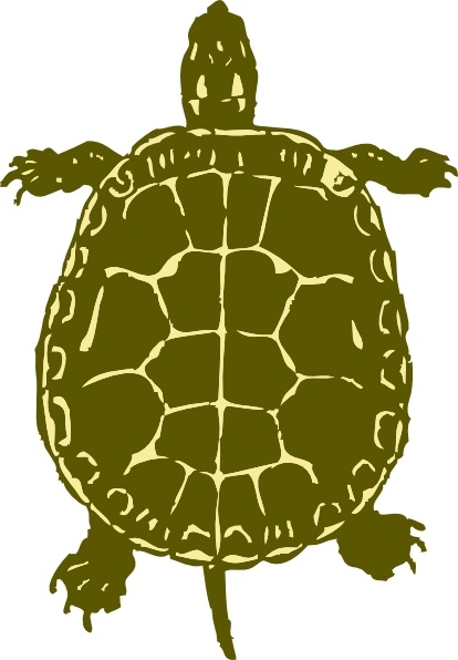 turtle clip art free download - photo #32