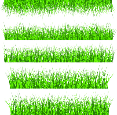 vector free download grass - photo #15